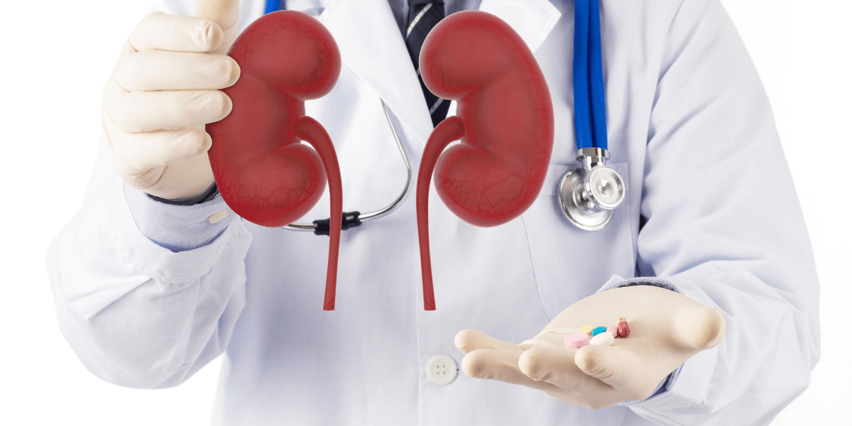 What Causes Chronic Kidney Disease Stages?