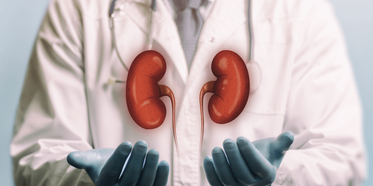 Factors That May Put You at Risk for Chronic Kidney Disease