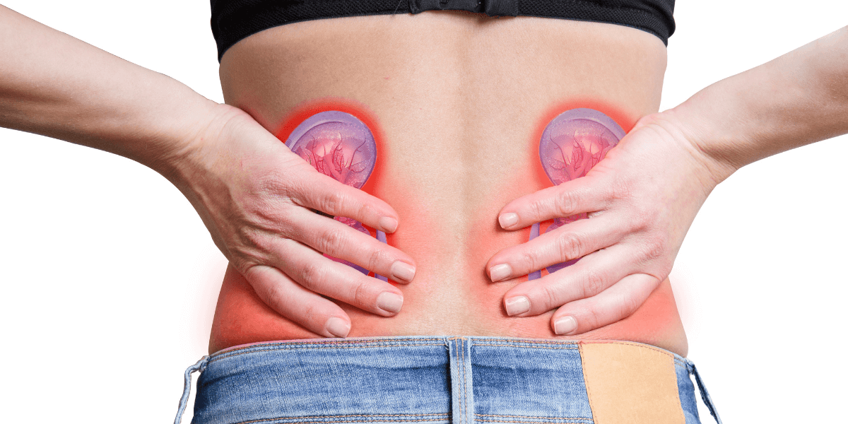 Habits Which Lead To Kidney Disease