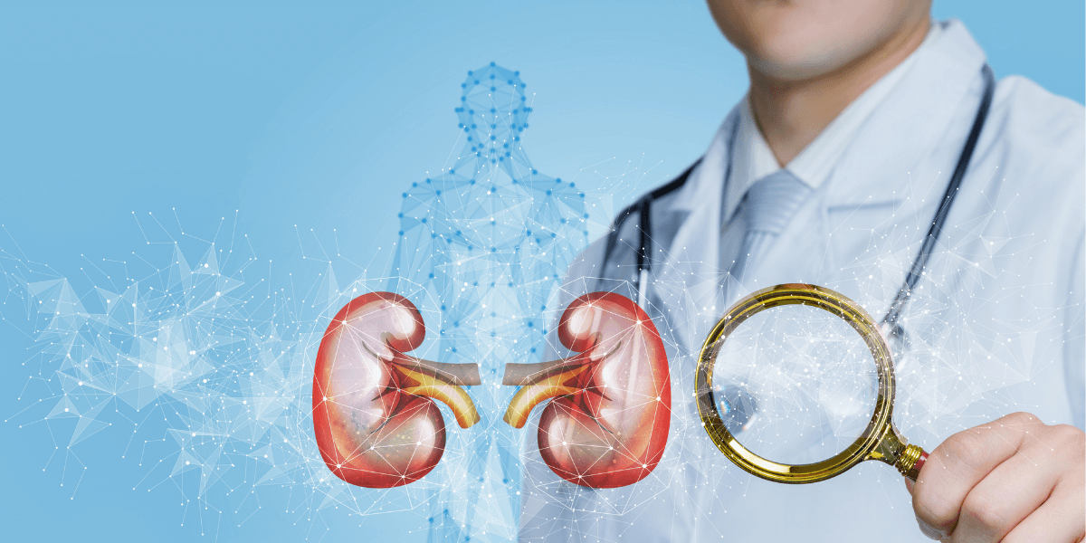 What Are the Types and Causes of Kidney Disease?