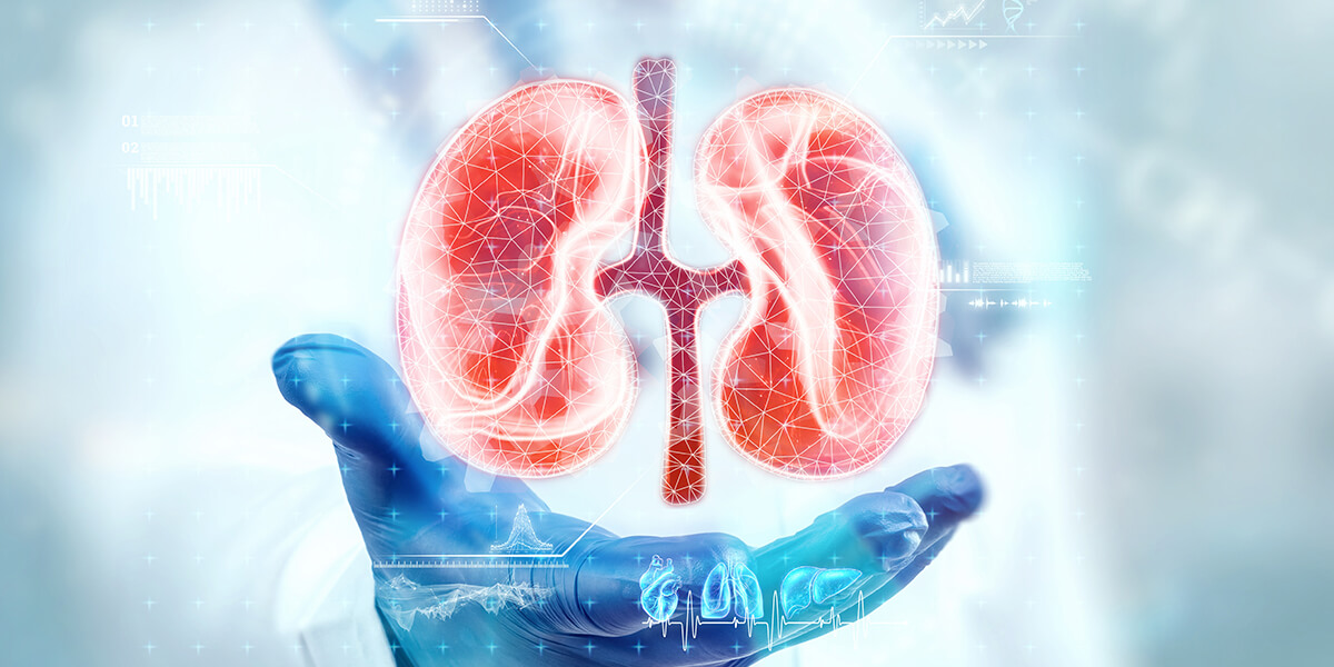 Chronic Kidney Disease: How to Take Care of Yourself