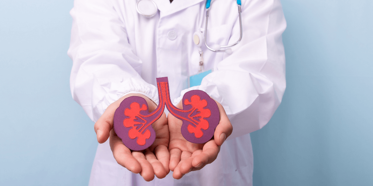 What Should You Know About Polycystic Kidney Disease?